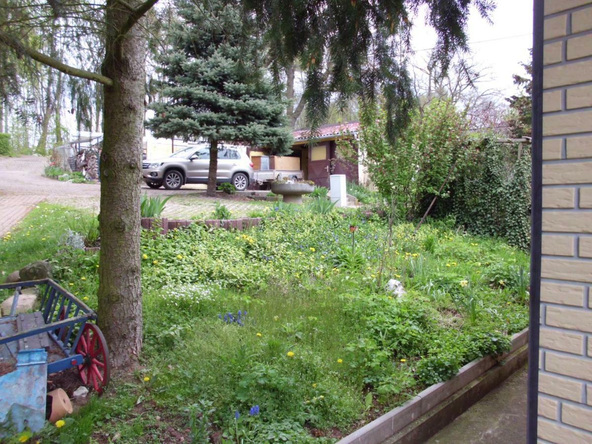 Ferienhaus Santo Villa Nordhausen Luaran gambar